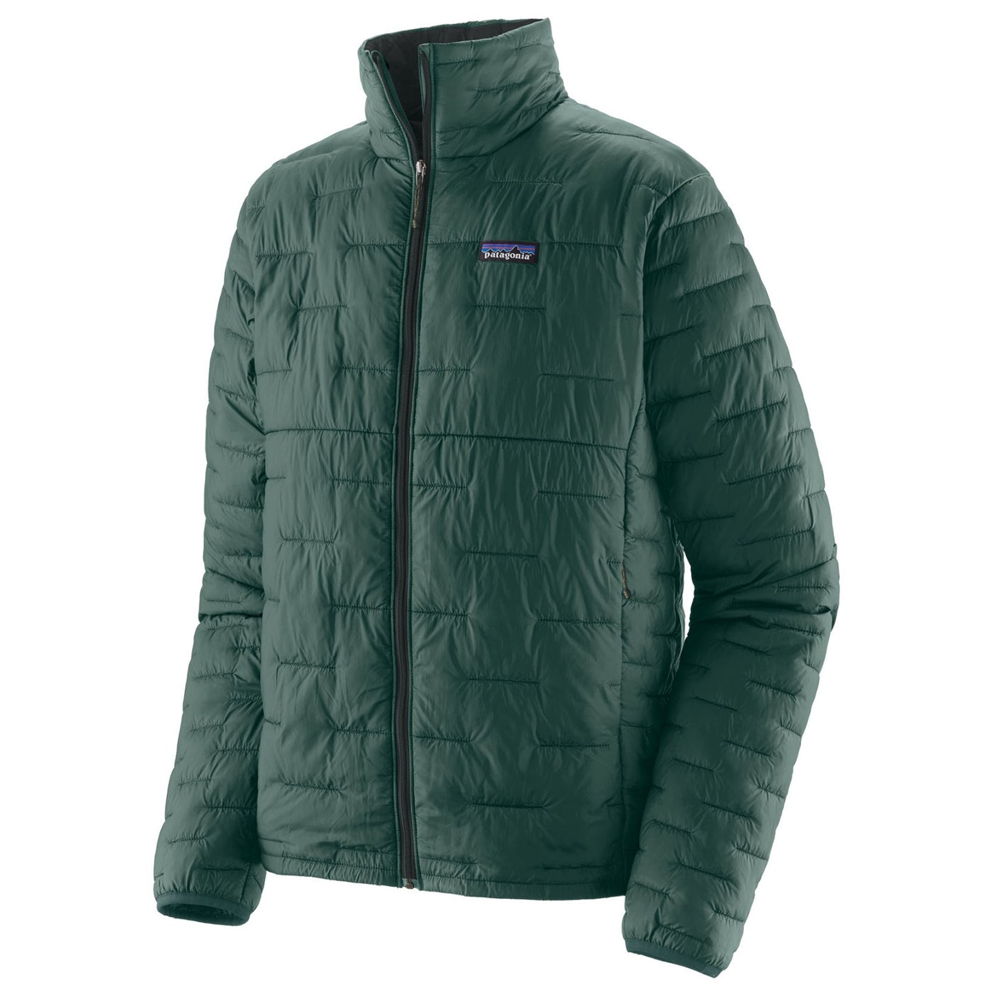 PATAGONIA Micro Puff Jkt Uomo
