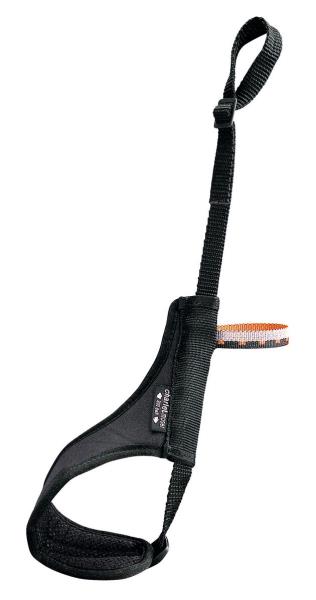 754c580a32e31afe664ea4a700375284