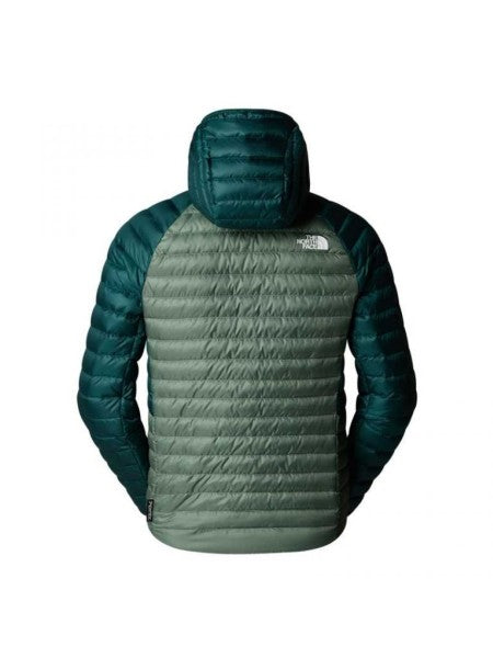 7a3894ed3555343259c075e29a29e300