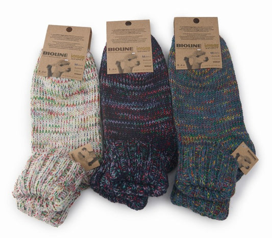 2560d4642ba90cc10aead5ea0b1003ad