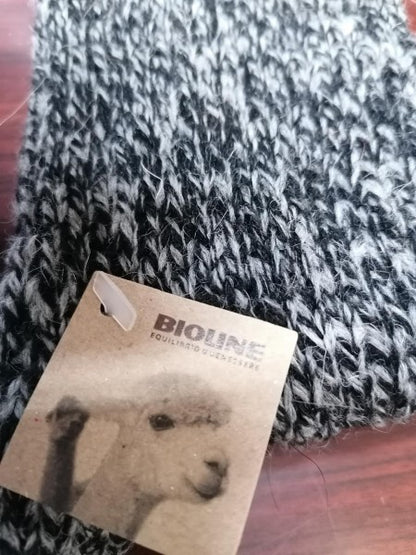 9eefdfb543b4e572f105ffb1e3e8d834