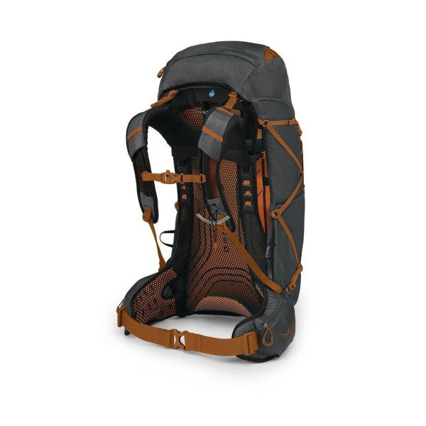 aa82e1ec2442cb0331398d5a4d736672